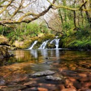 Esknamucky Waterfall - Glengarriff Nature Reserve
